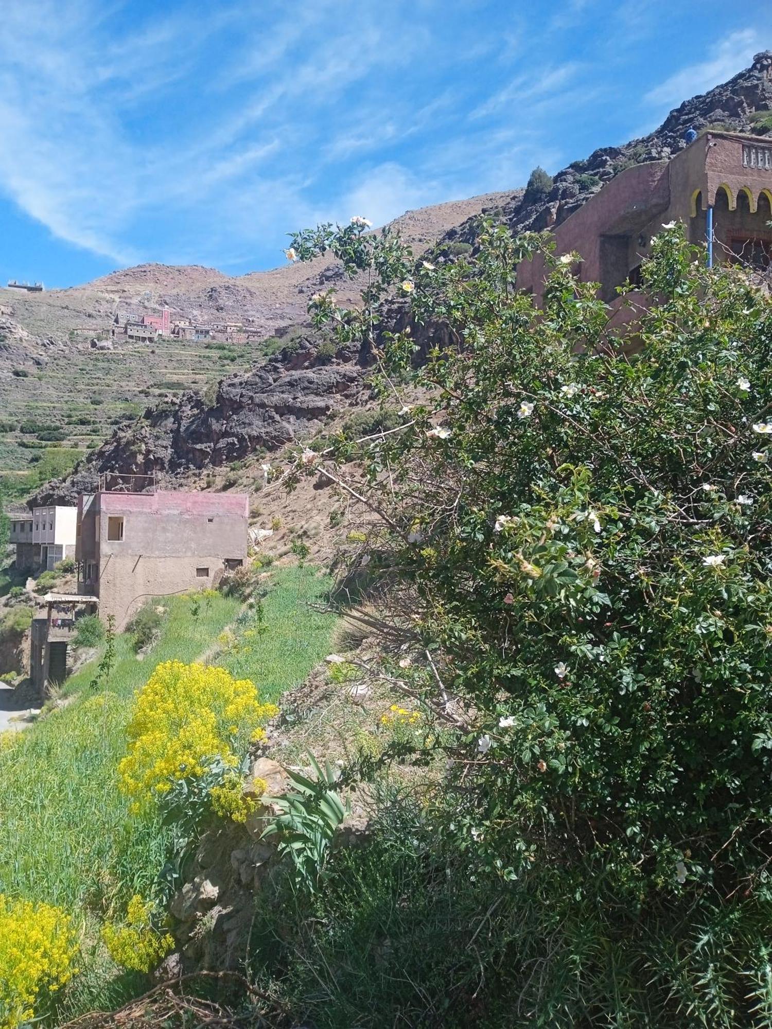 Riad Atlas Imnane Imlil  Εξωτερικό φωτογραφία
